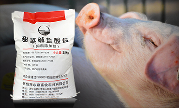 飼料級甜菜堿